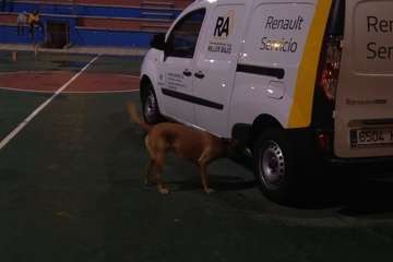 Marpequeña, sede de un campeonato de Detección Deportiva (Foto TA)